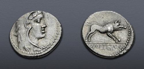 Lot 816 image