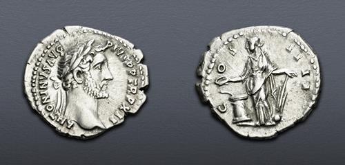 Lot 893 image