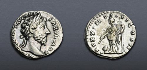 Lot 900 image