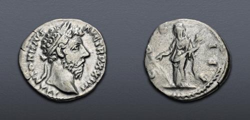 Lot 902 image