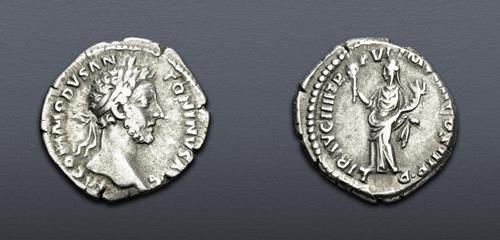 Lot 909 image