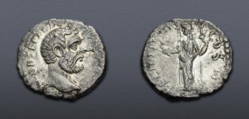 Lot 915 image