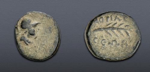 Lot 50 image