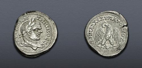 Lot 455 image