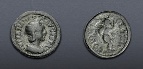Lot 507 image