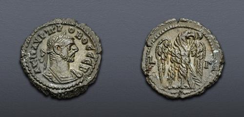 Lot 555 image