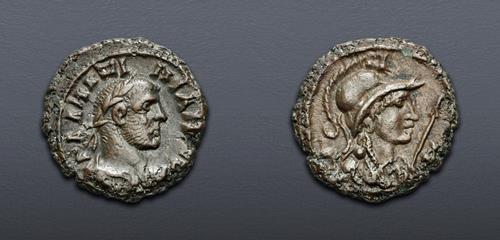 Lot 559 image