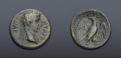 Lot 701 image