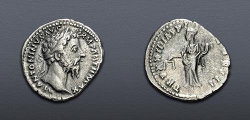 Lot 788 image