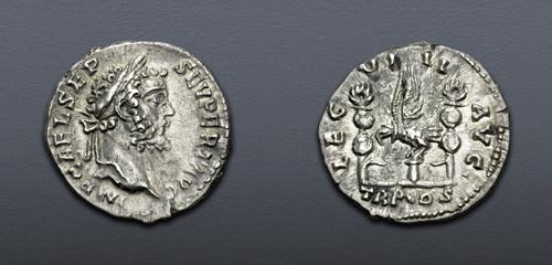 Lot 794 image