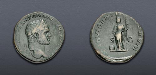 Lot 809 image