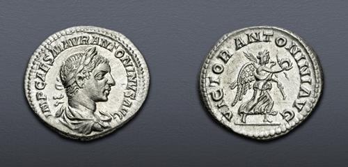 Lot 815 image