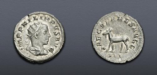 Lot 842 image