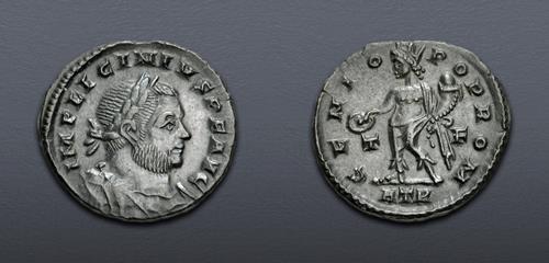 Lot 911 image