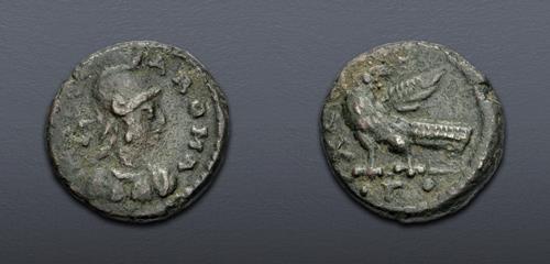 Lot 983 image