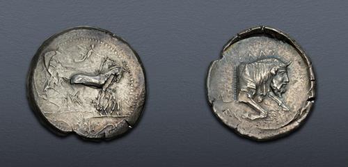 Lot 11 image