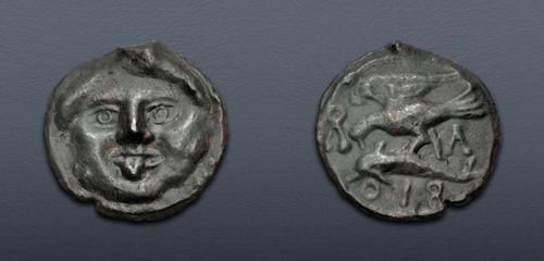 Lot 12 image