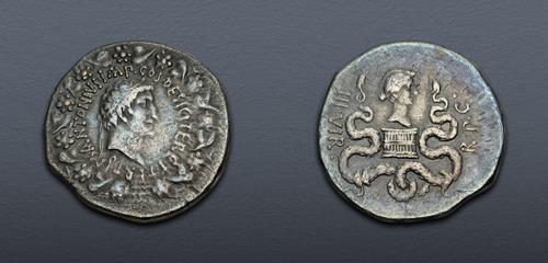 Lot 177 image