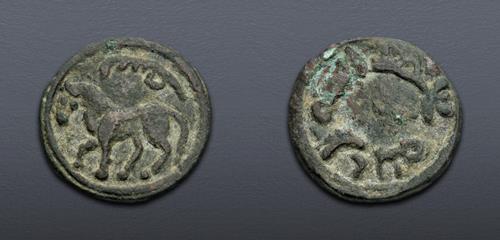 Lot 502 image
