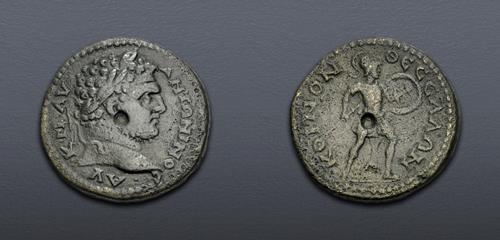 Lot 511 image