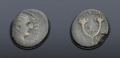 Lot 515 image