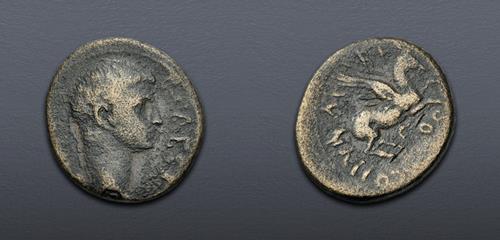 Lot 516 image