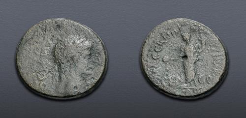 Lot 517 image