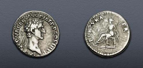 Lot 704 image