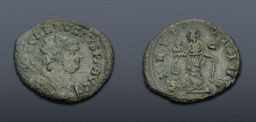 Lot 797 image