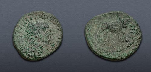 Lot 800 image