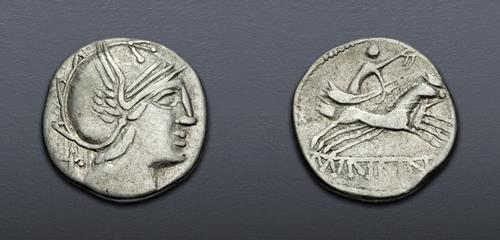Lot 11 image