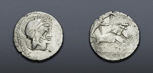 Lot 12 image