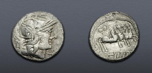 Lot 13 image