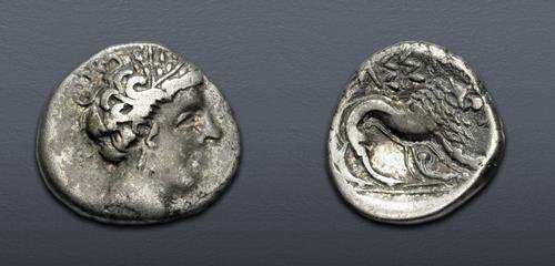 Lot 15 image