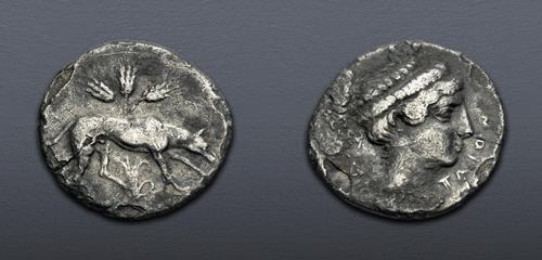 Lot 37 image