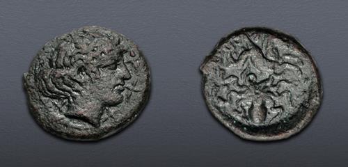 Lot 41 image