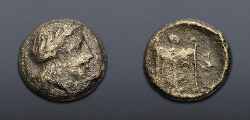 Lot 309 image