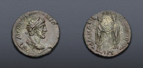 Lot 359 image