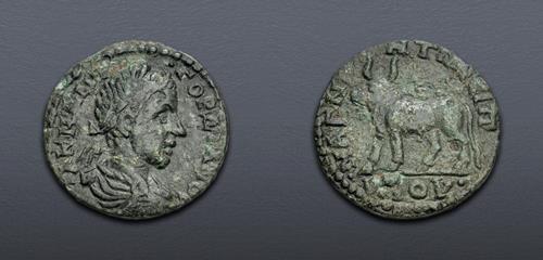 Lot 388 image