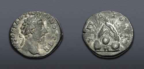 Lot 443 image