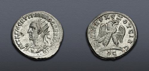 Lot 495 image