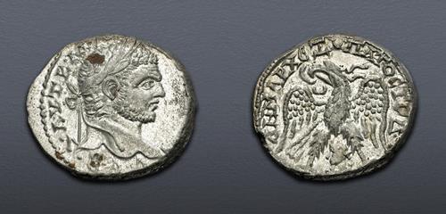 Lot 502 image