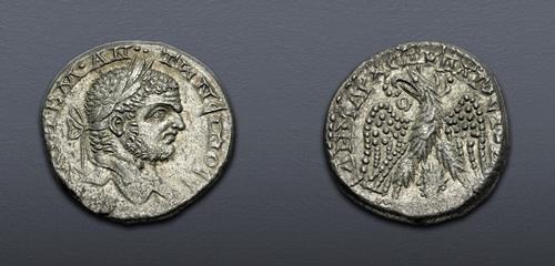 Lot 503 image