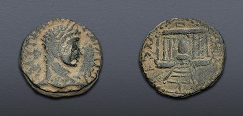 Lot 505 image