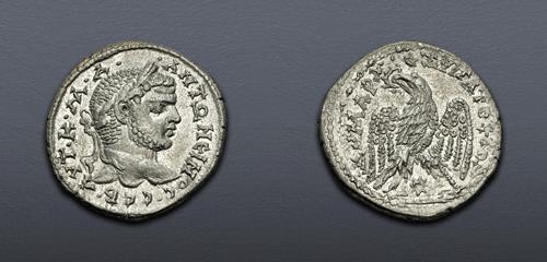 Lot 508 image