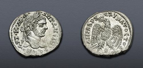 Lot 509 image