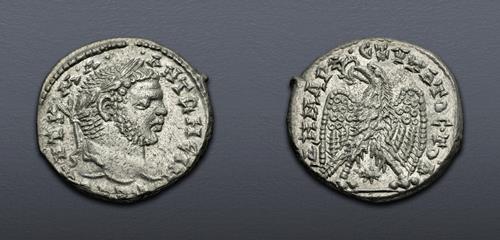 Lot 510 image