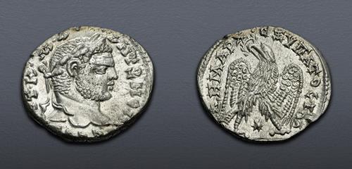 Lot 511 image