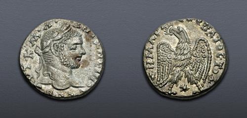 Lot 512 image