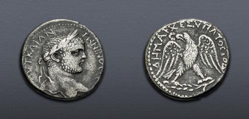 Lot 556 image